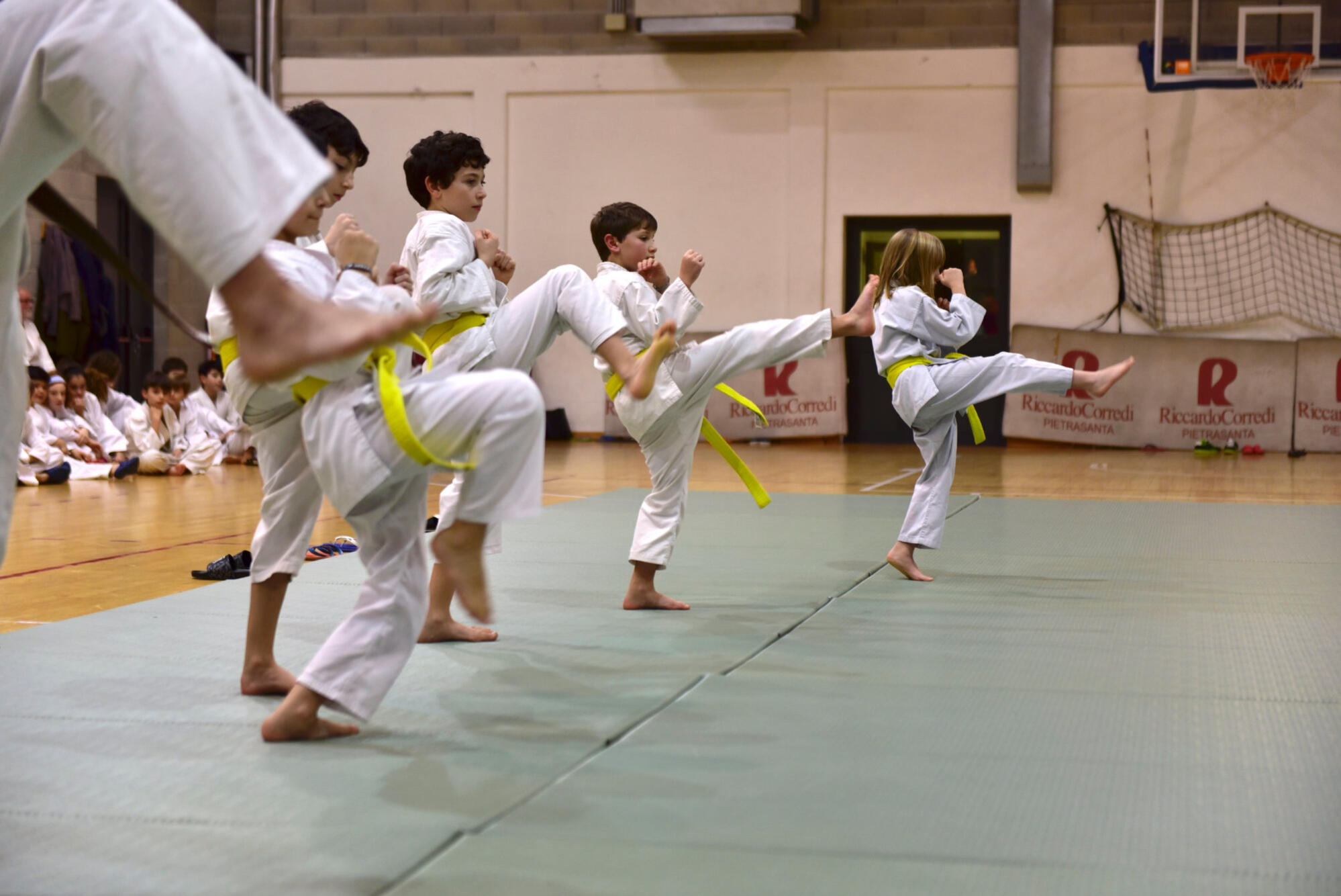 Foto Karate Foto Karate